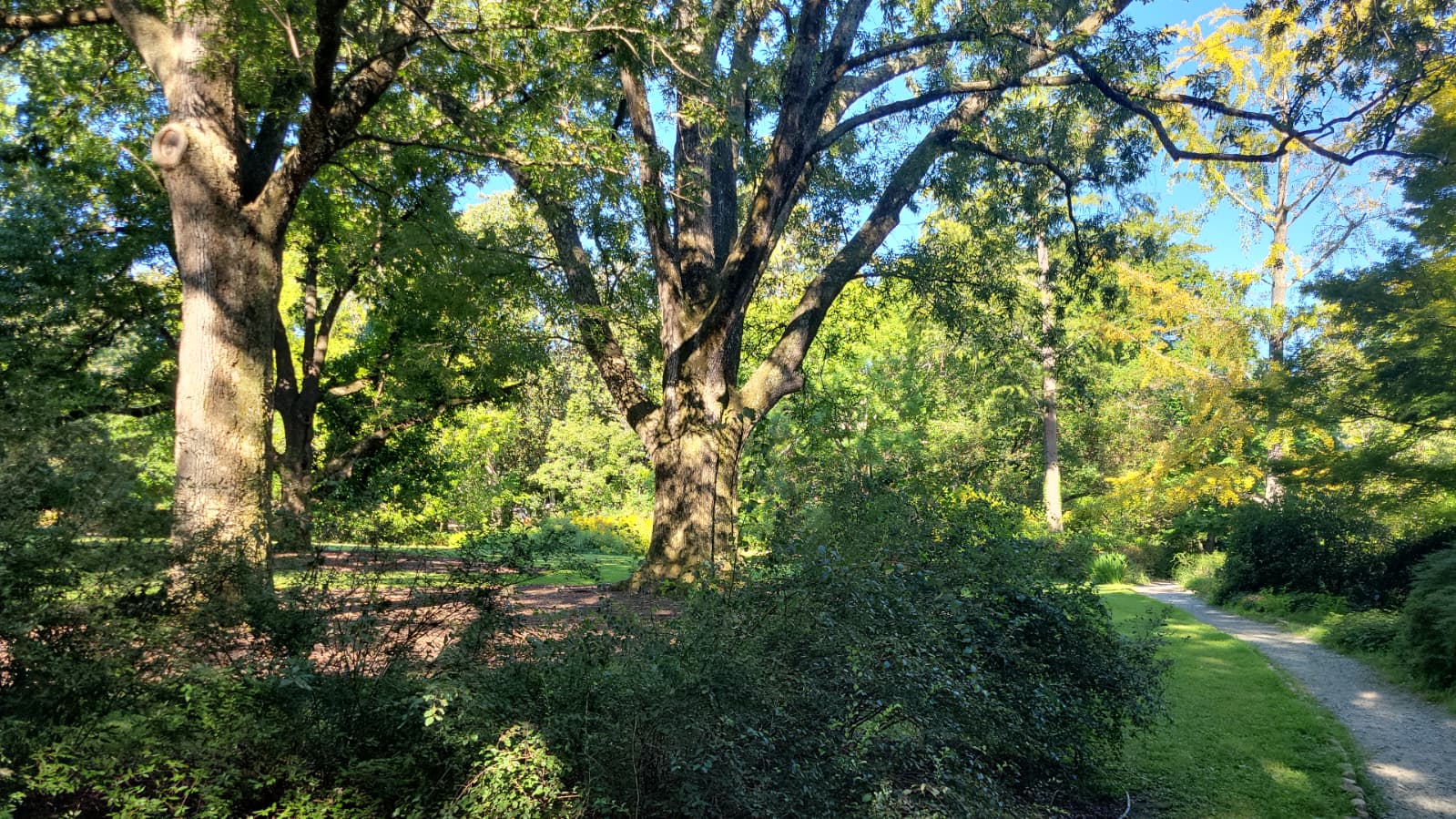 UNC-Chapel Hill campus